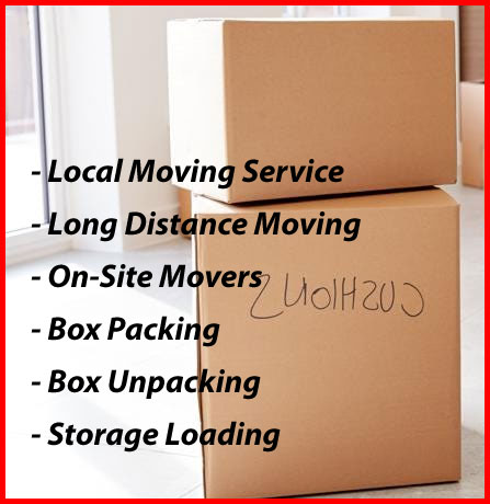 Packers And Movers Noida Sector 161